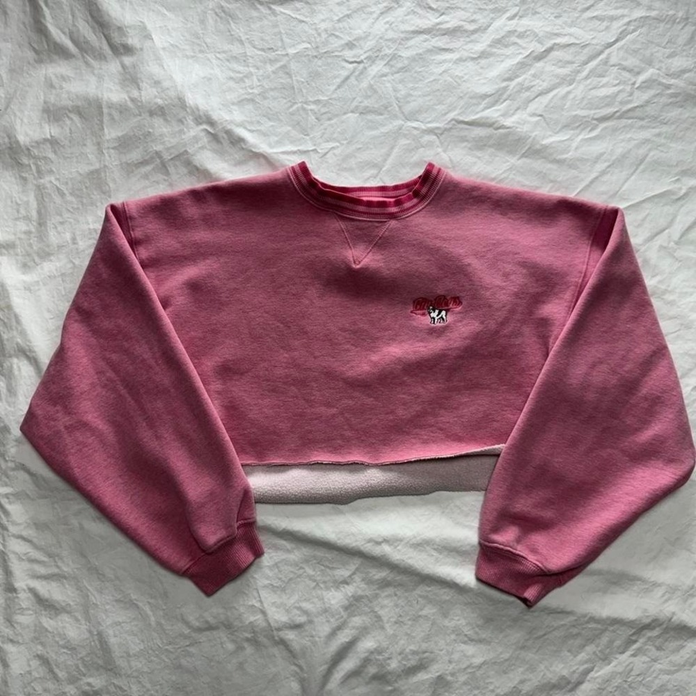 Big Dog Cropped Pink Crewneck Sz M